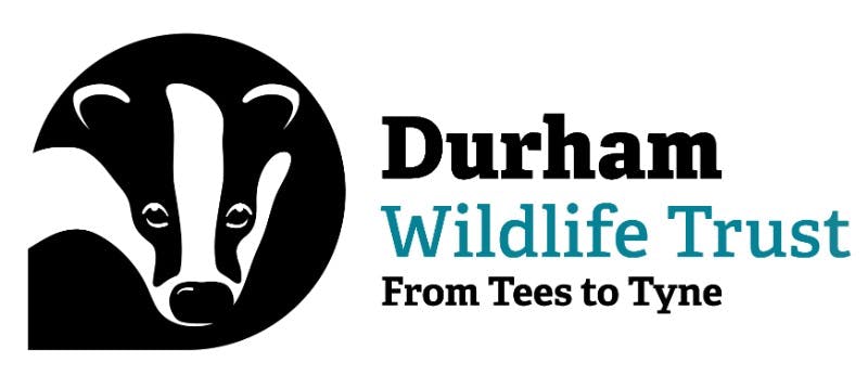 Image for Durham Wildlife Trust